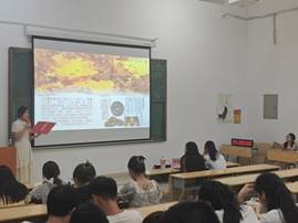 86efdf2f6d65df25e469da8489dc8f2c